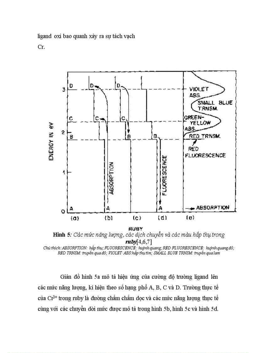 image for page Bai viet ve Ru by