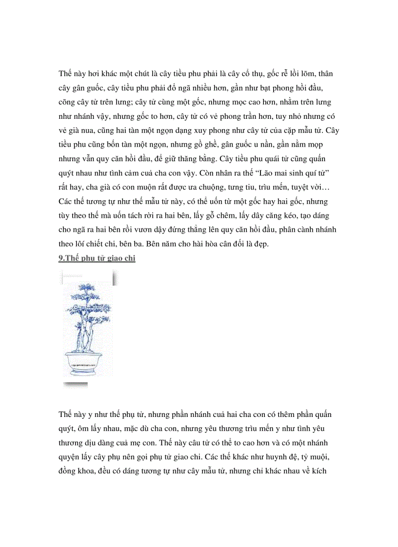 image for page Các thế cây cảnh đẹp trong bonsai