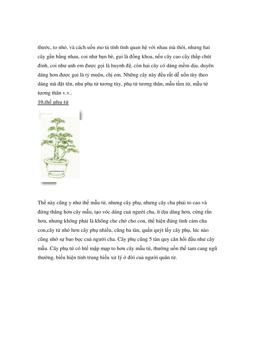 image for page Các thế cây cảnh đẹp trong bonsai