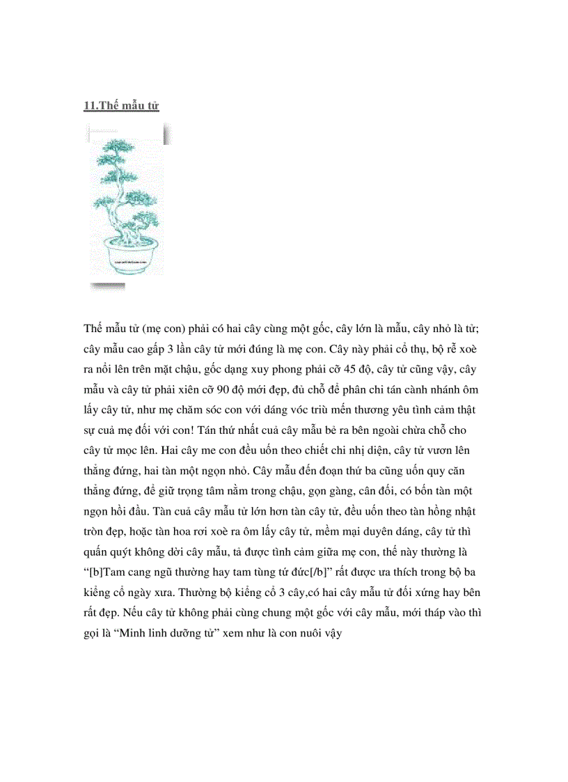 image for page Các thế cây cảnh đẹp trong bonsai