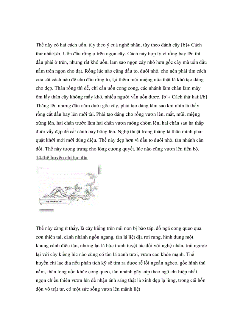 image for page Các thế cây cảnh đẹp trong bonsai