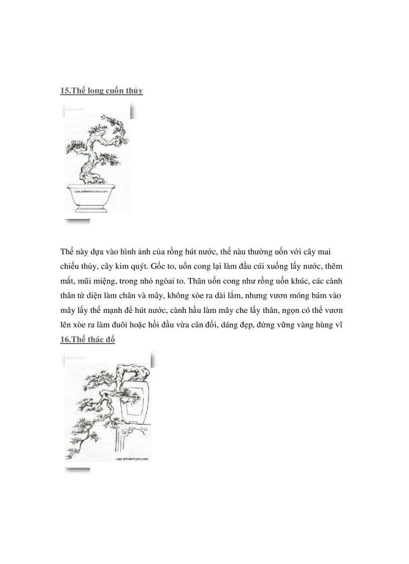 image for page Các thế cây cảnh đẹp trong bonsai
