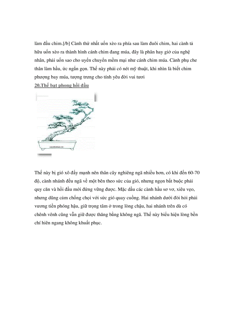 image for page Các thế cây cảnh đẹp trong bonsai
