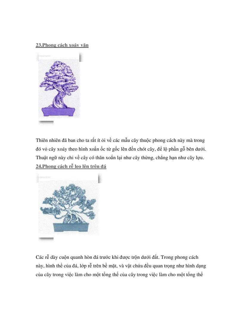 image for page Các thế cây cảnh đẹp trong bonsai