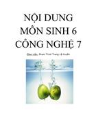 Kế hoặc môn CN 7