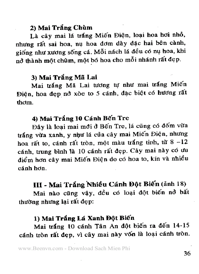 image for page Kỉ thuật trồng và ghép mai