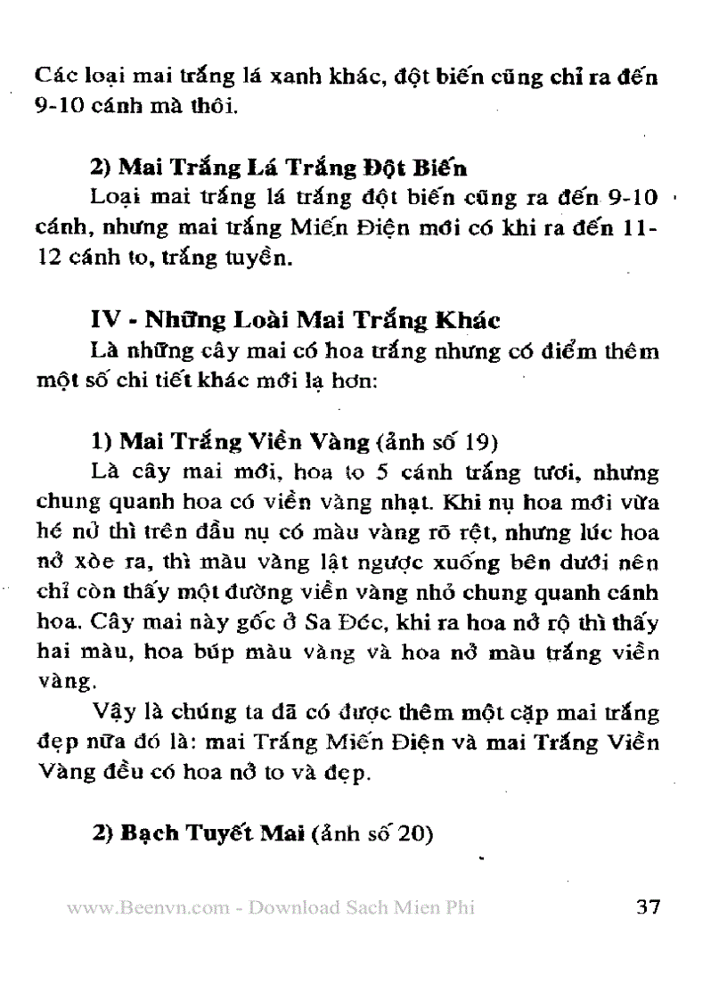 image for page Kỉ thuật trồng và ghép mai