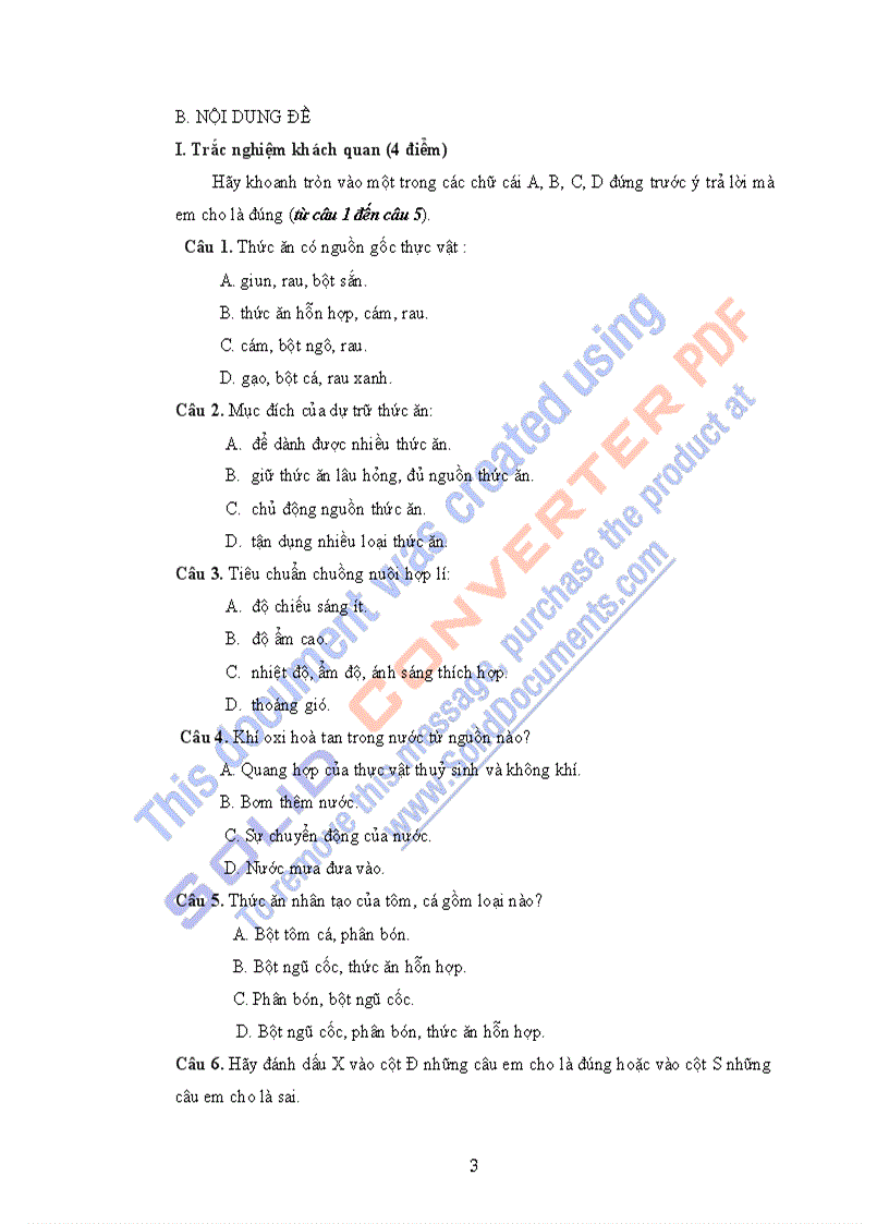 image for page Kiểm tra HK II