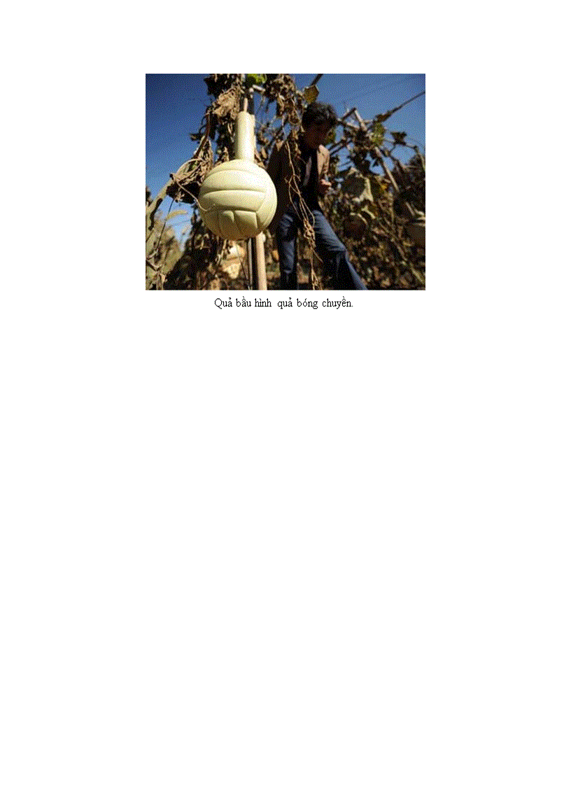 image for page Sử dụng hợp lý và tiết kiệm điện năng