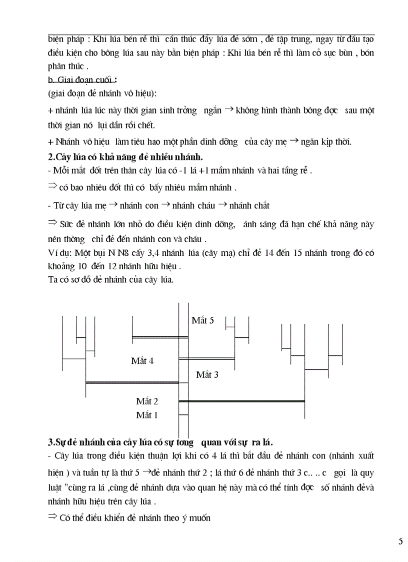 image for page GA Nghề TRỒNG LUA 2008 2009