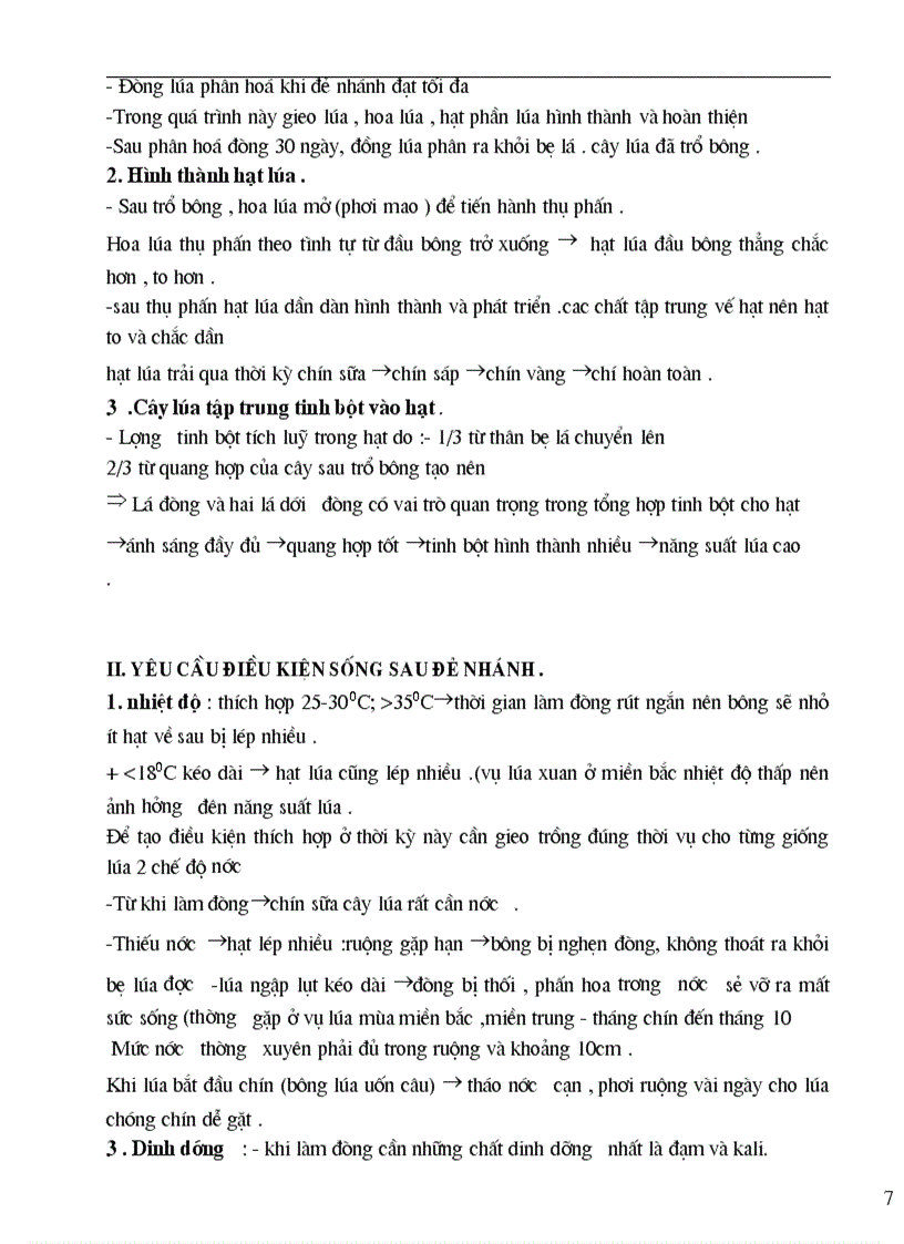 image for page GA Nghề TRỒNG LUA 2008 2009