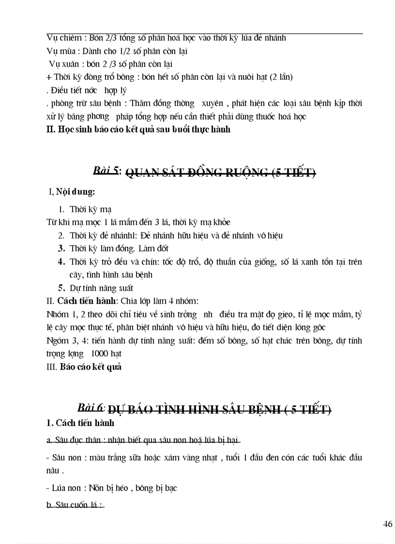 image for page GA Nghề TRỒNG LUA 2008 2009