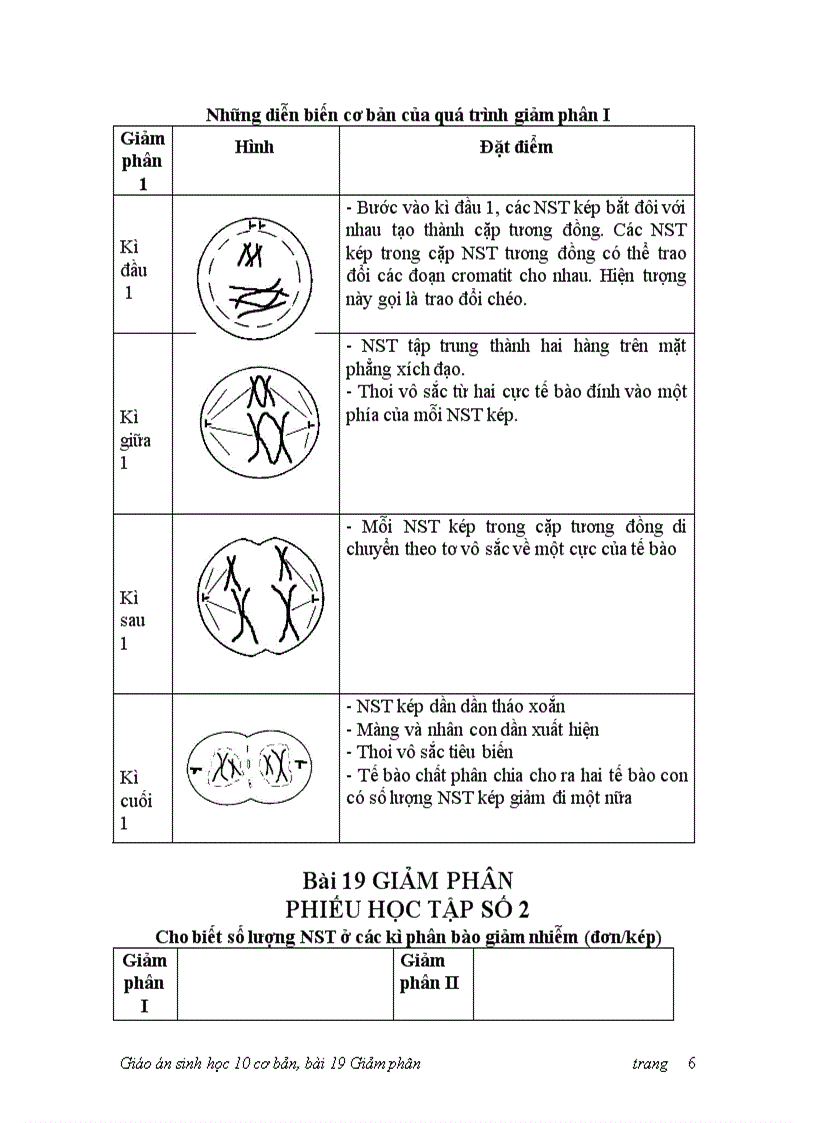 image for page Bai 19 GIẢM PHÂN