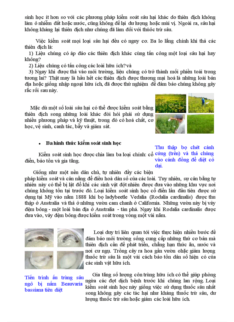 image for page Cong nghe 10