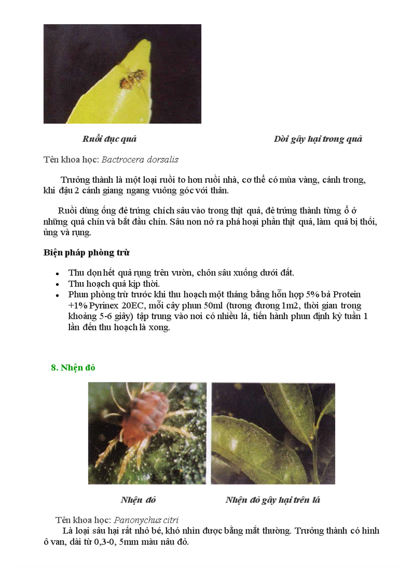 image for page Cong nghe 10