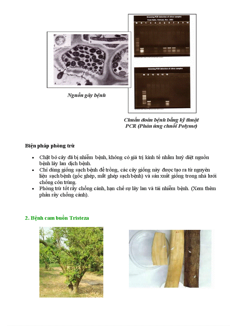 image for page Cong nghe 10