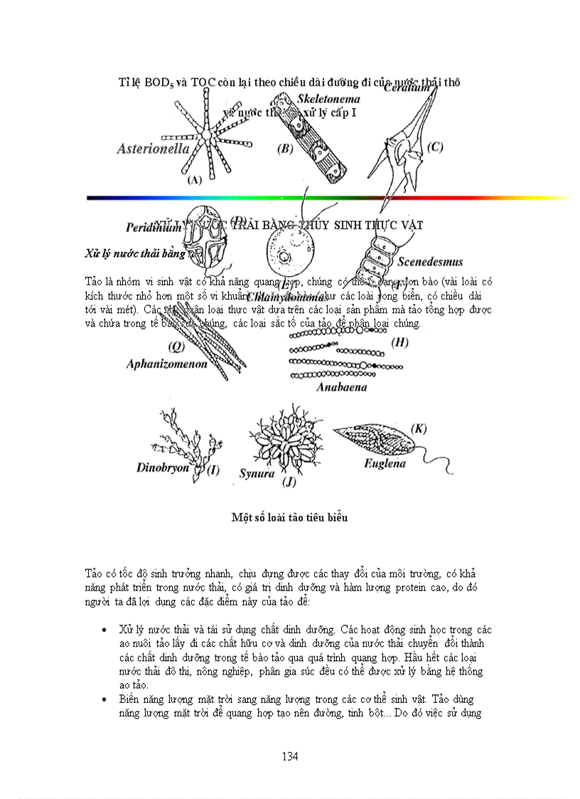 image for page Quy trình xử lý nước thải