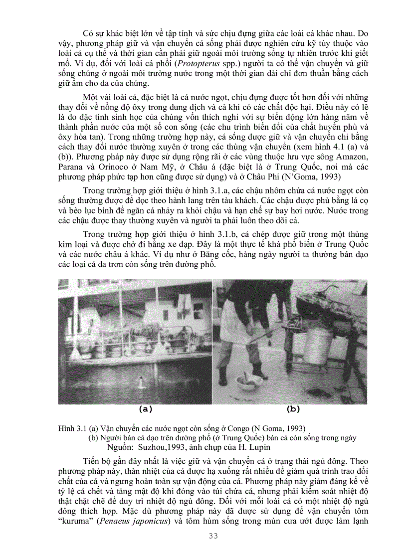 image for page Công nghệ chế biến thủy hải sản