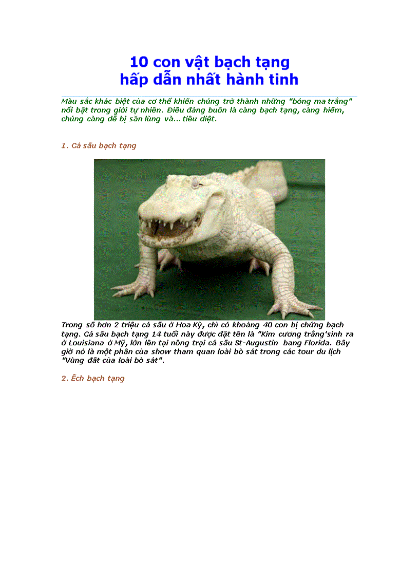 image for page 10 con vật bạch tạng hấp dẫn nhất hành tinh