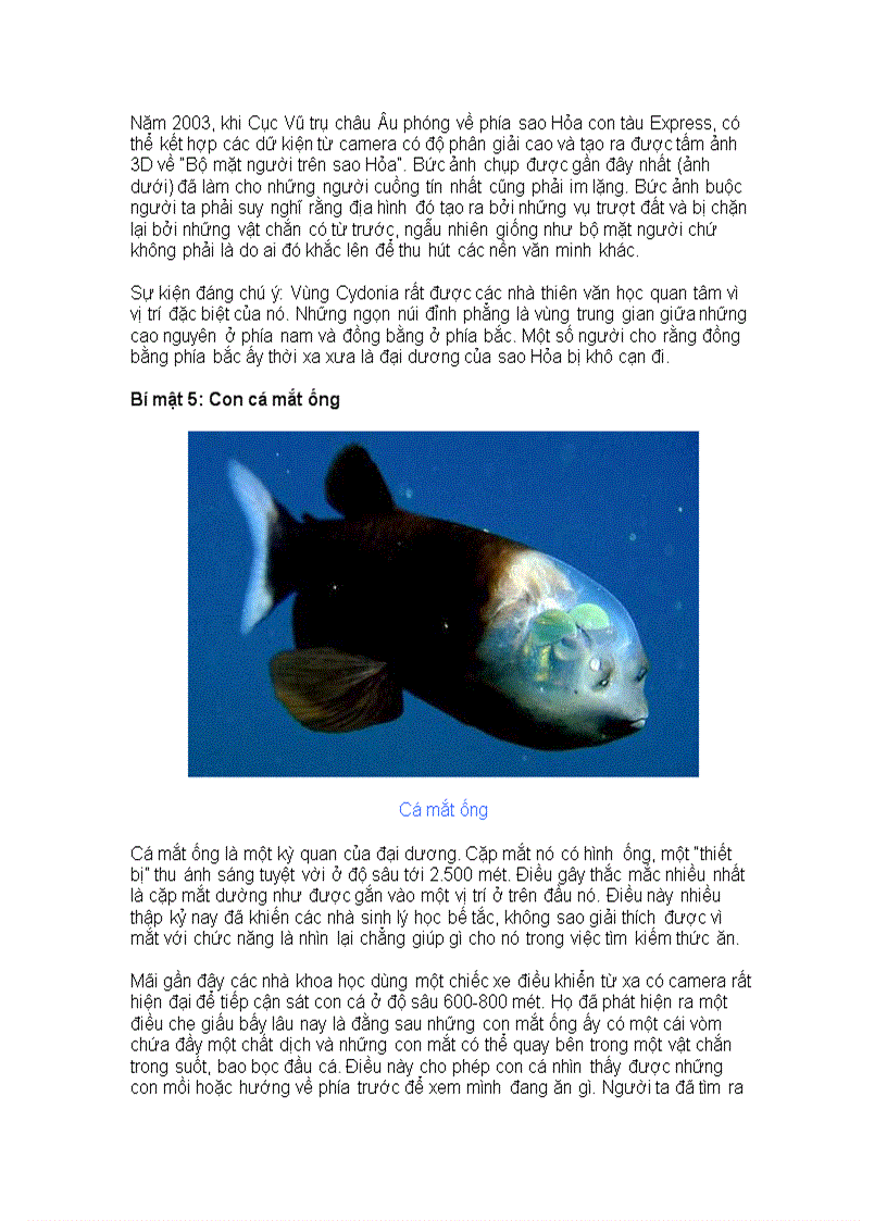 image for page 10 phát hiện khoa học lớn nhất năm 2009 tt