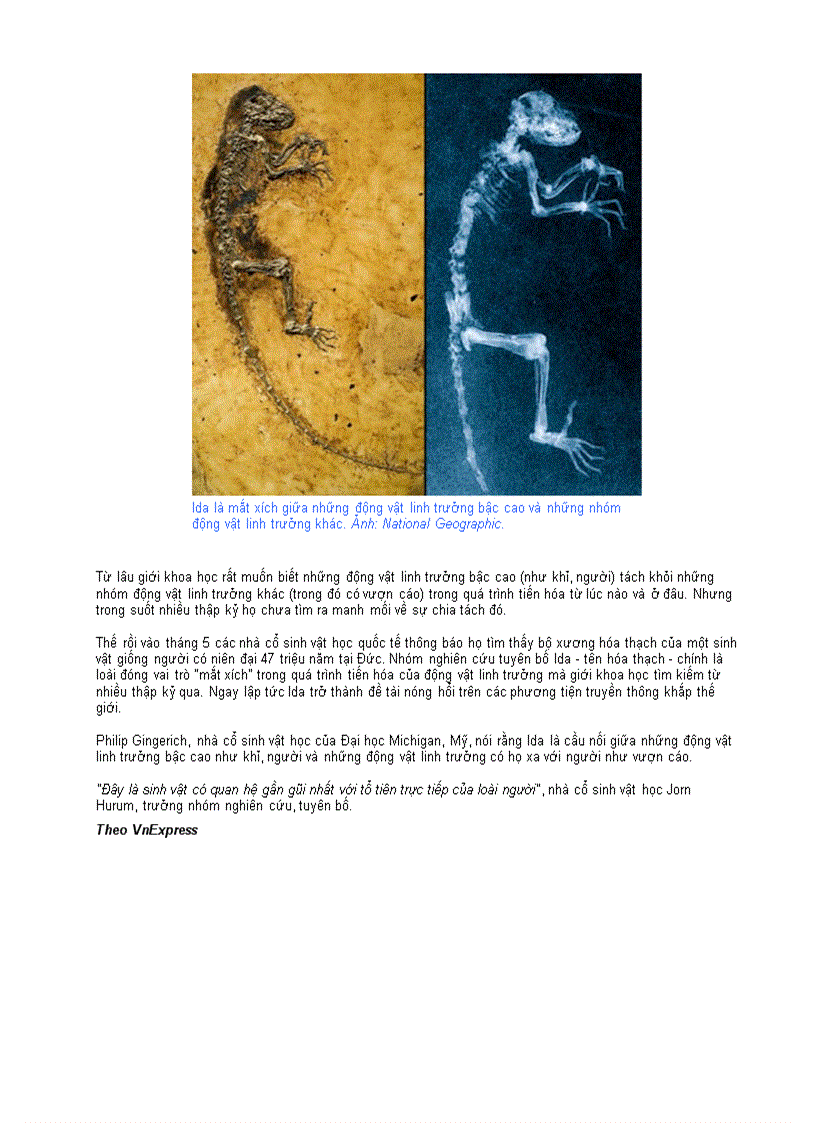 image for page 10 phát hiện khoa học lớn nhất năm 2009