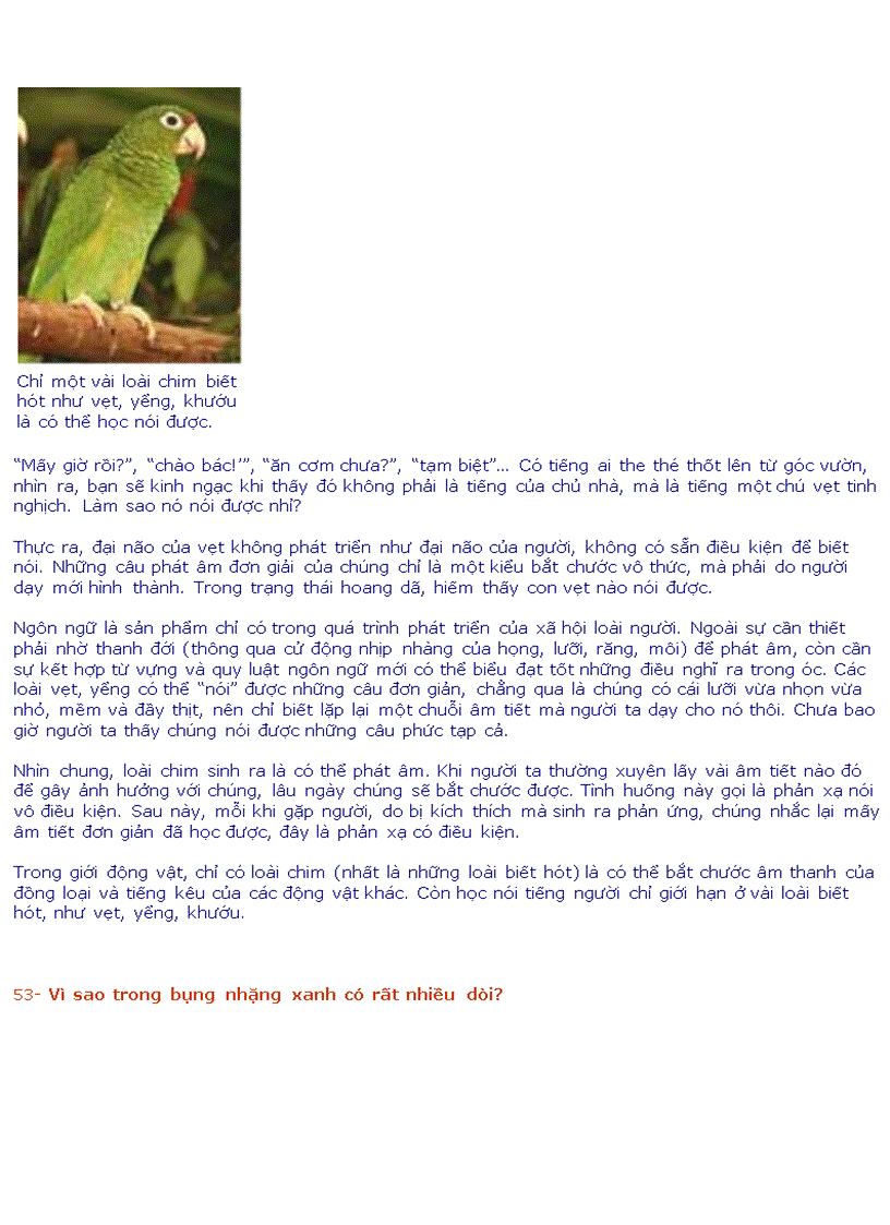 image for page 10 vạn câu hỏi vì sao