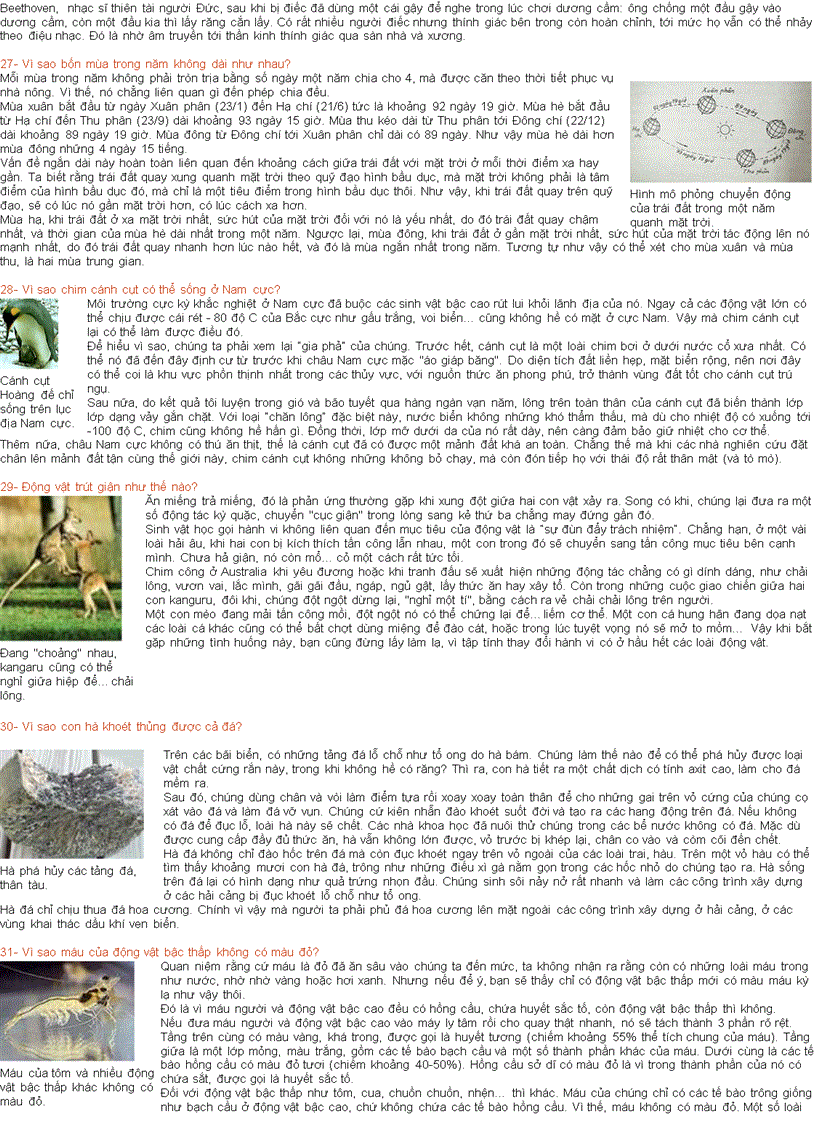 image for page 1000 cau hoi vi sao