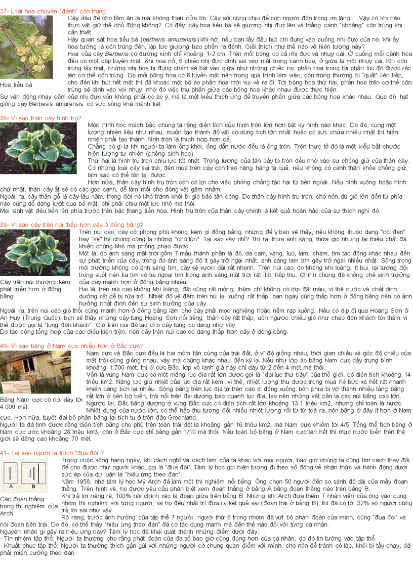 image for page 1000 cau hoi vi sao