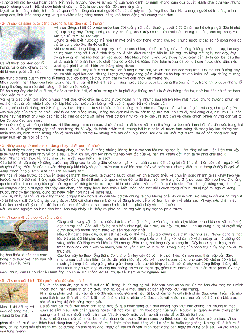 image for page 1000 cau hoi vi sao