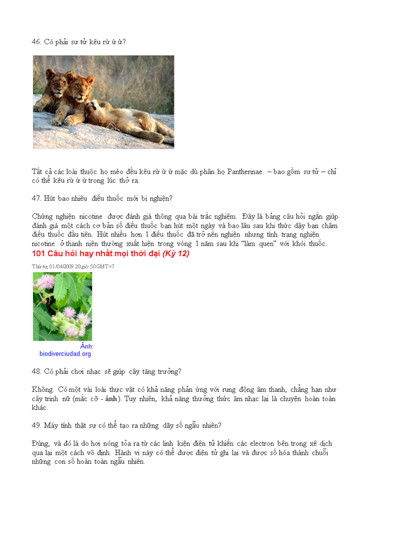 image for page 101 câu hỏi hay nhất mọi thời đại