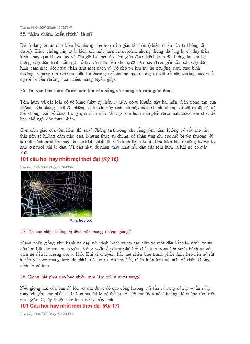 image for page 101 câu hỏi hay nhất mọi thời đại