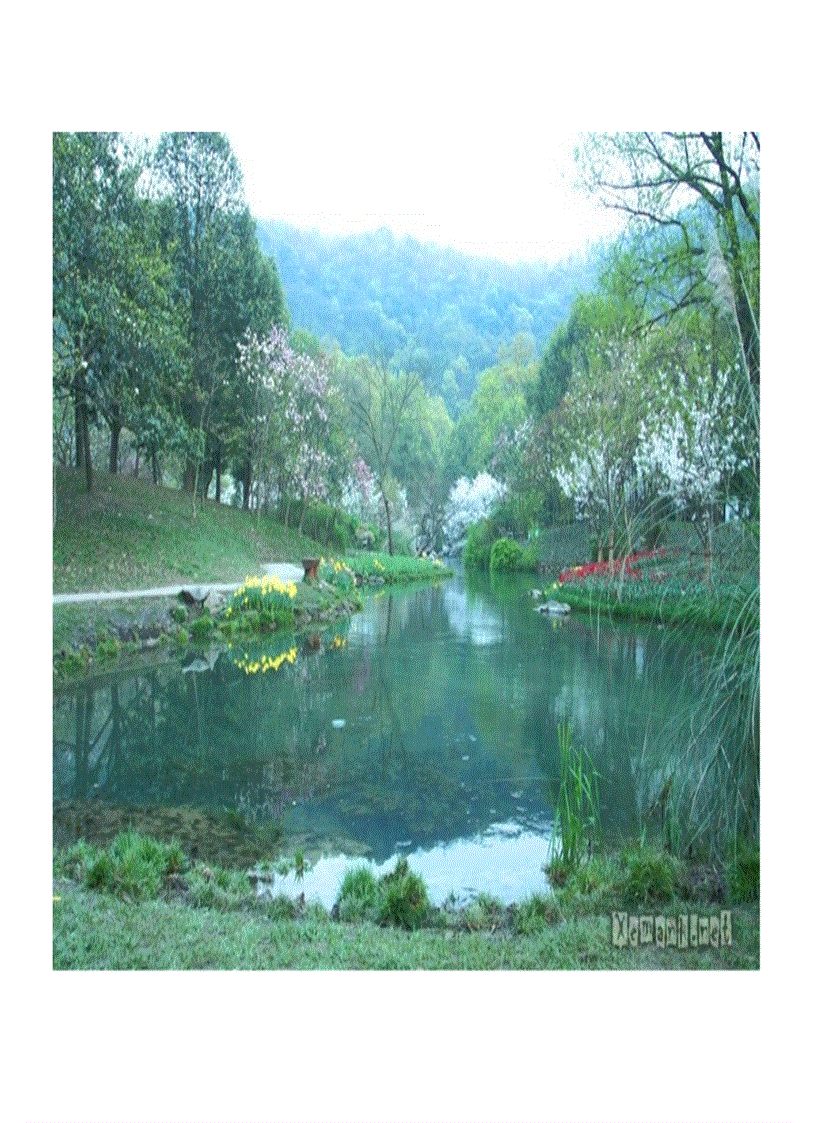 image for page Ảnh đẹp nè