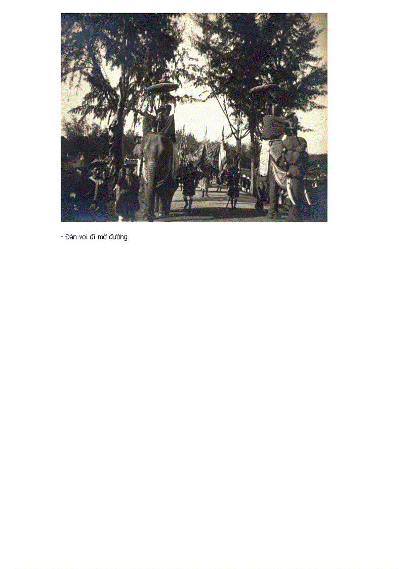 image for page Ảnh Vietnam xưa