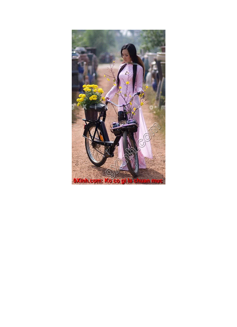 image for page Áo dài Biểu trưng dân tộc Việt