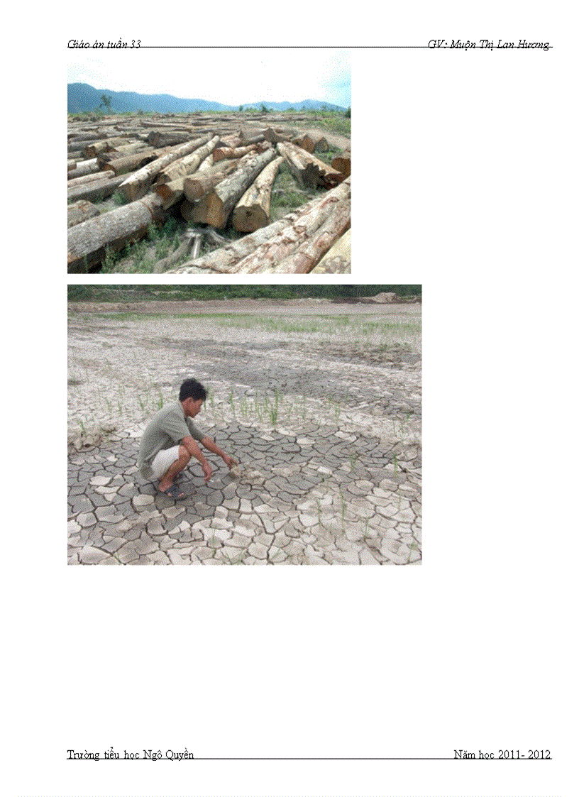 image for page Bài 65 Tác động của con người đến môi trường rừng