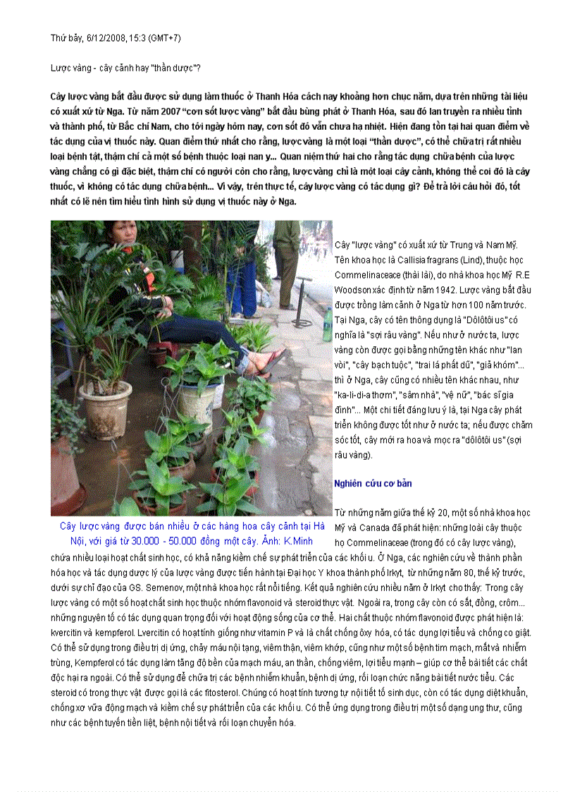 image for page Bài thuốc từ cây Lược vàng