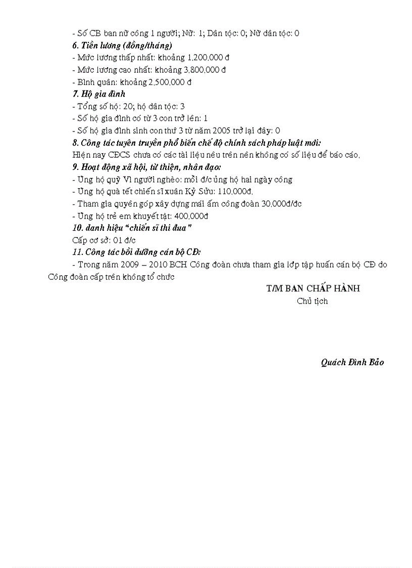 image for page Bao cao so lieu 2010