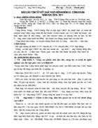 Bao cao tom tat nhiem vu CD 10 11