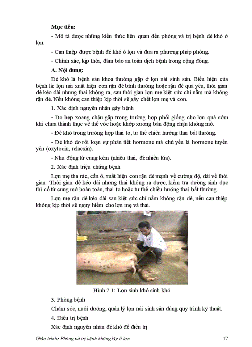 image for page Bệnh không lây ở lợn