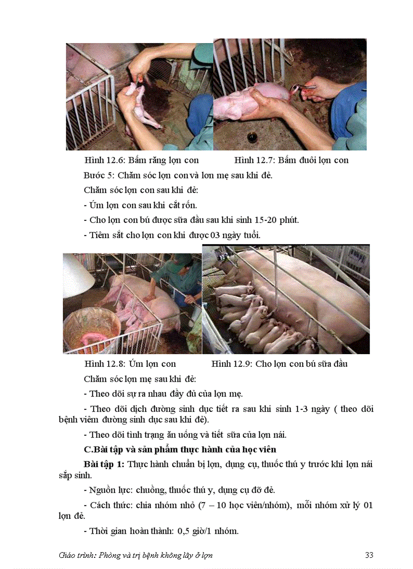 image for page Bệnh không lây ở lợn