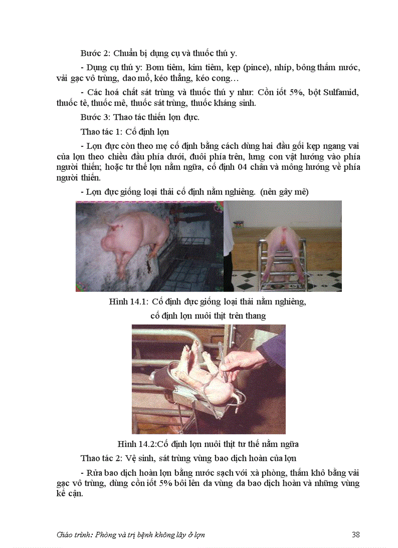 image for page Bệnh không lây ở lợn