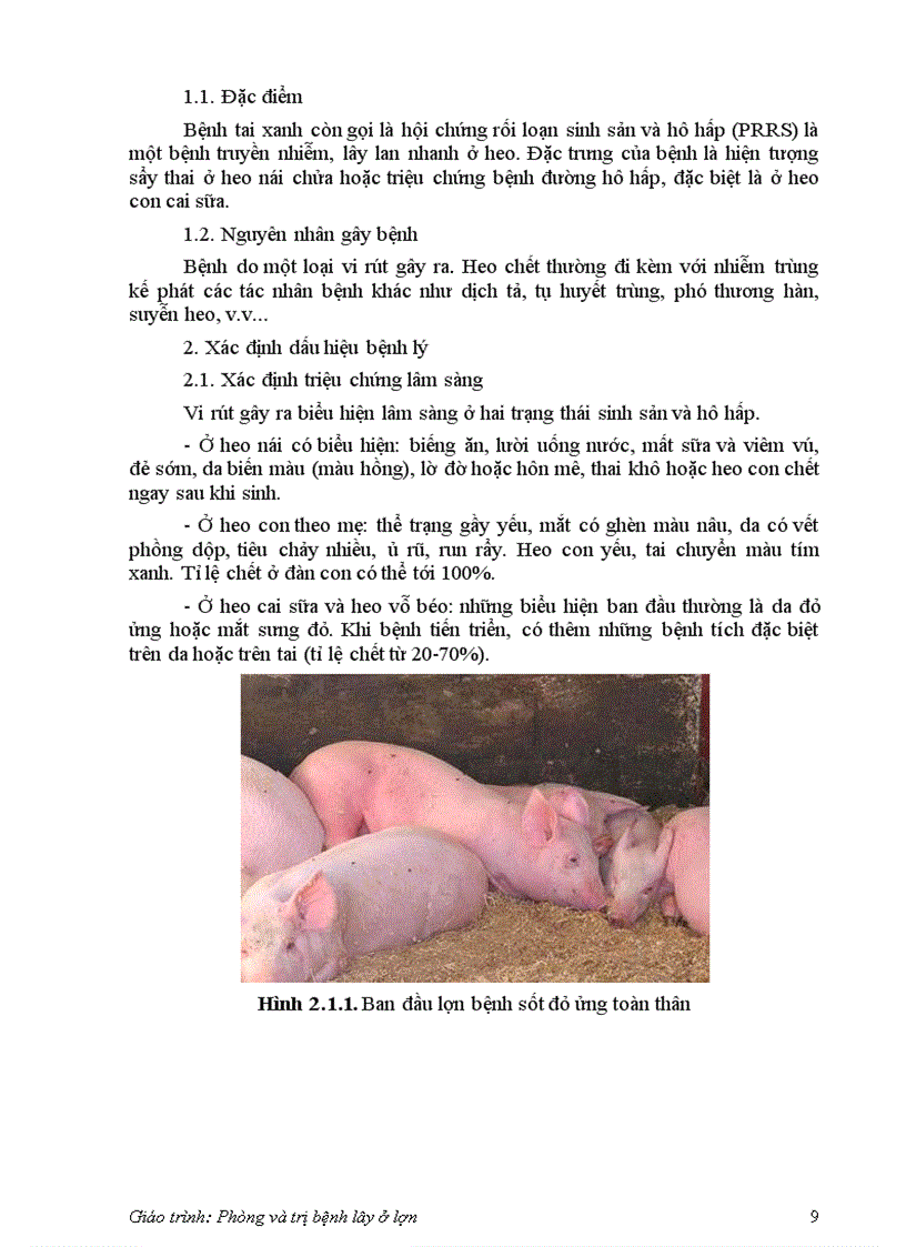 image for page Bệnh lây truyền ở lợn