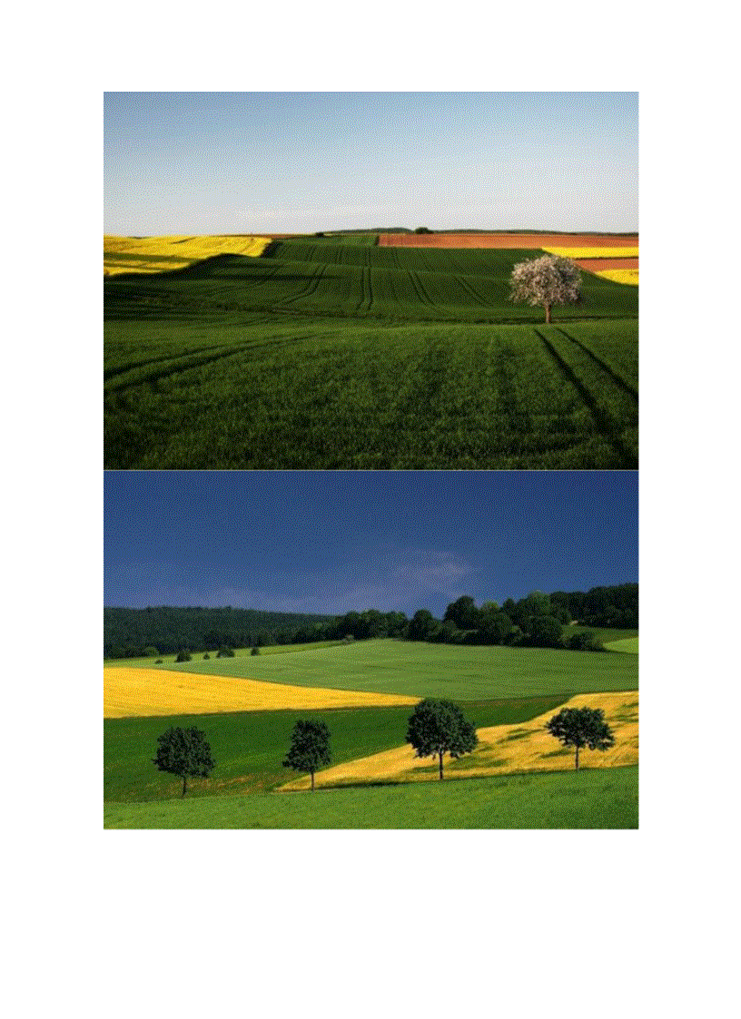 image for page Bộ sưu tập ảnh đẹp thiên nhiên