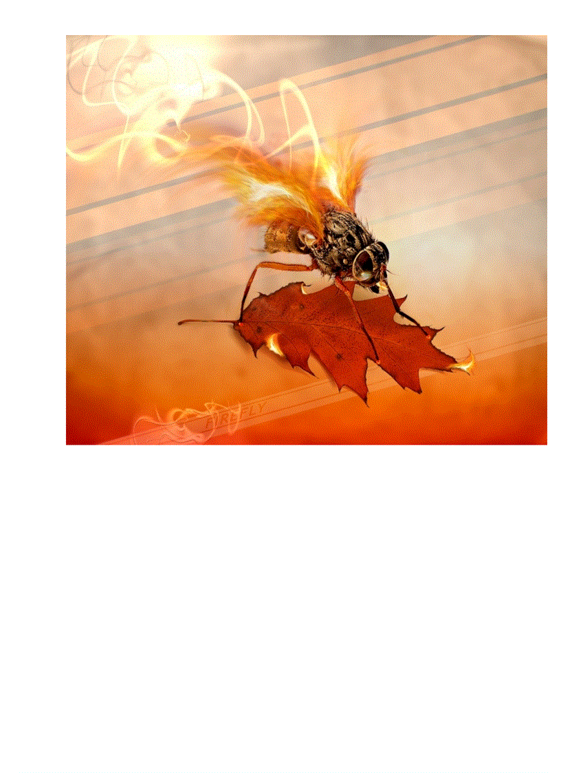 image for page Bốc vào là bỏng tay đó