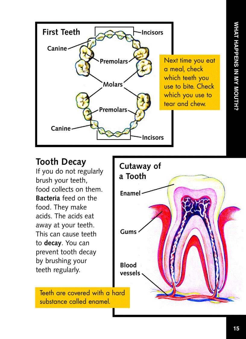 image for page Book enjoy your meal