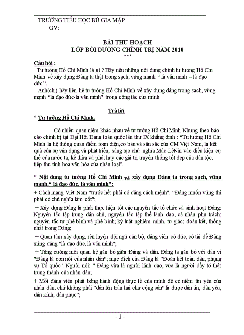 image for page BTH chính trị hè 2010