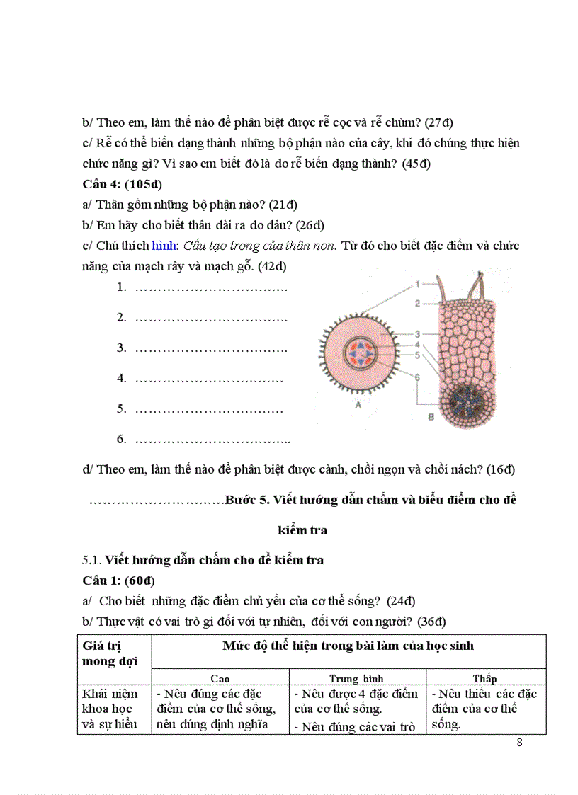 image for page Các bước lập Ma trận đề Kt Sinh 6