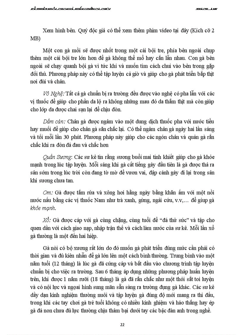 image for page Cách nuôi ga choi