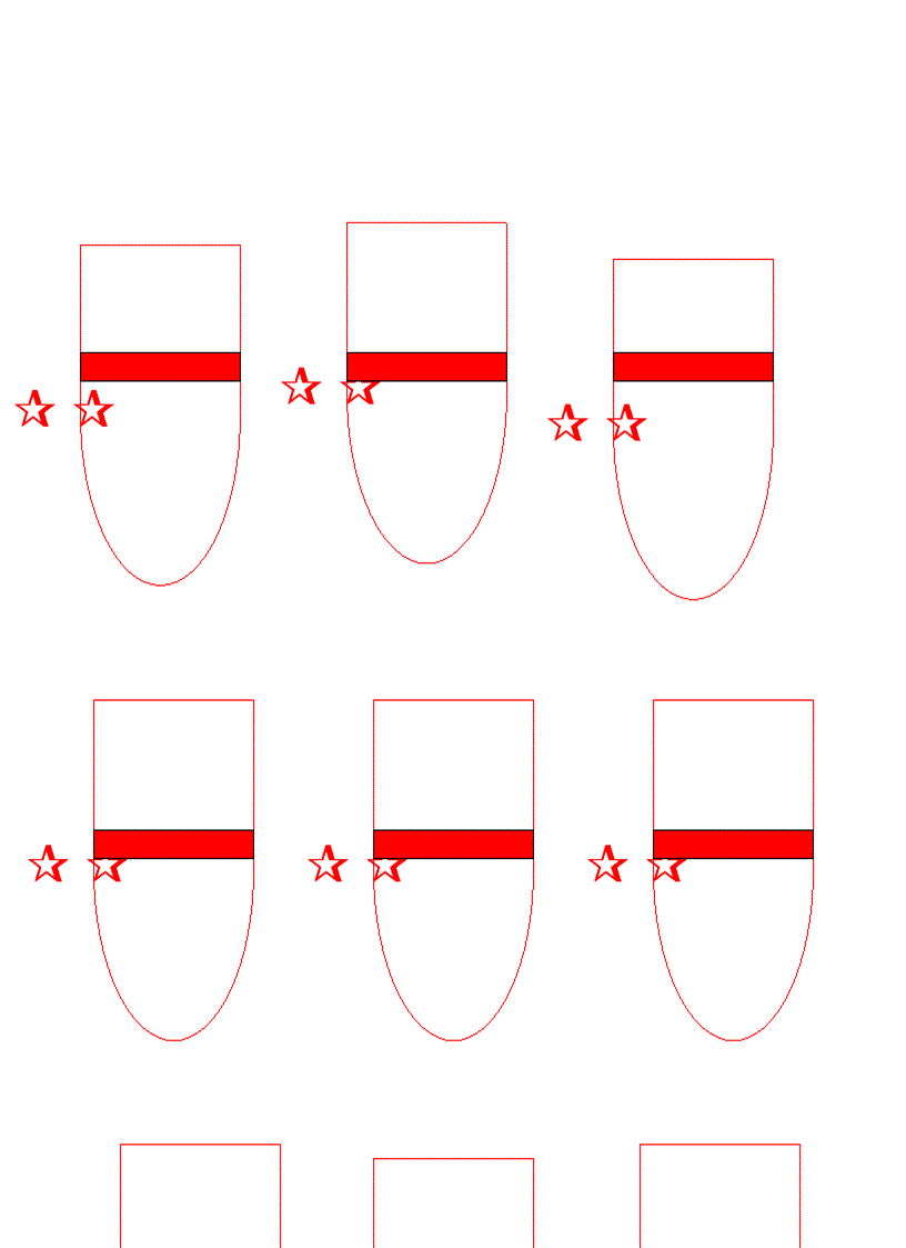 image for page Cấp hiệu chi đội