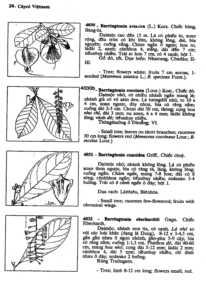 image for page Cây cỏ Việt Nam
